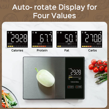 Precision Nutrition Kitchen Scale™